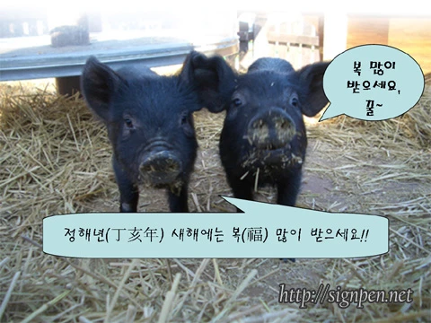 새해복~