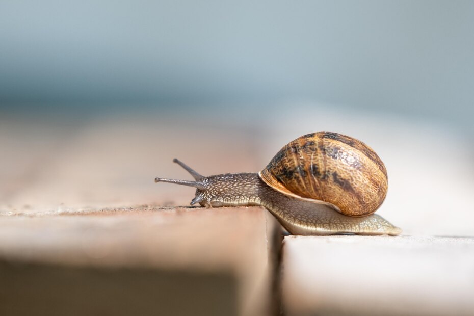 이사는 힘들어잉~!!