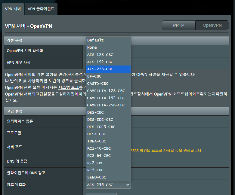 Asus 공유기 OpenVPN 고급설정