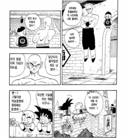 천진반과 차오즈의 무공술